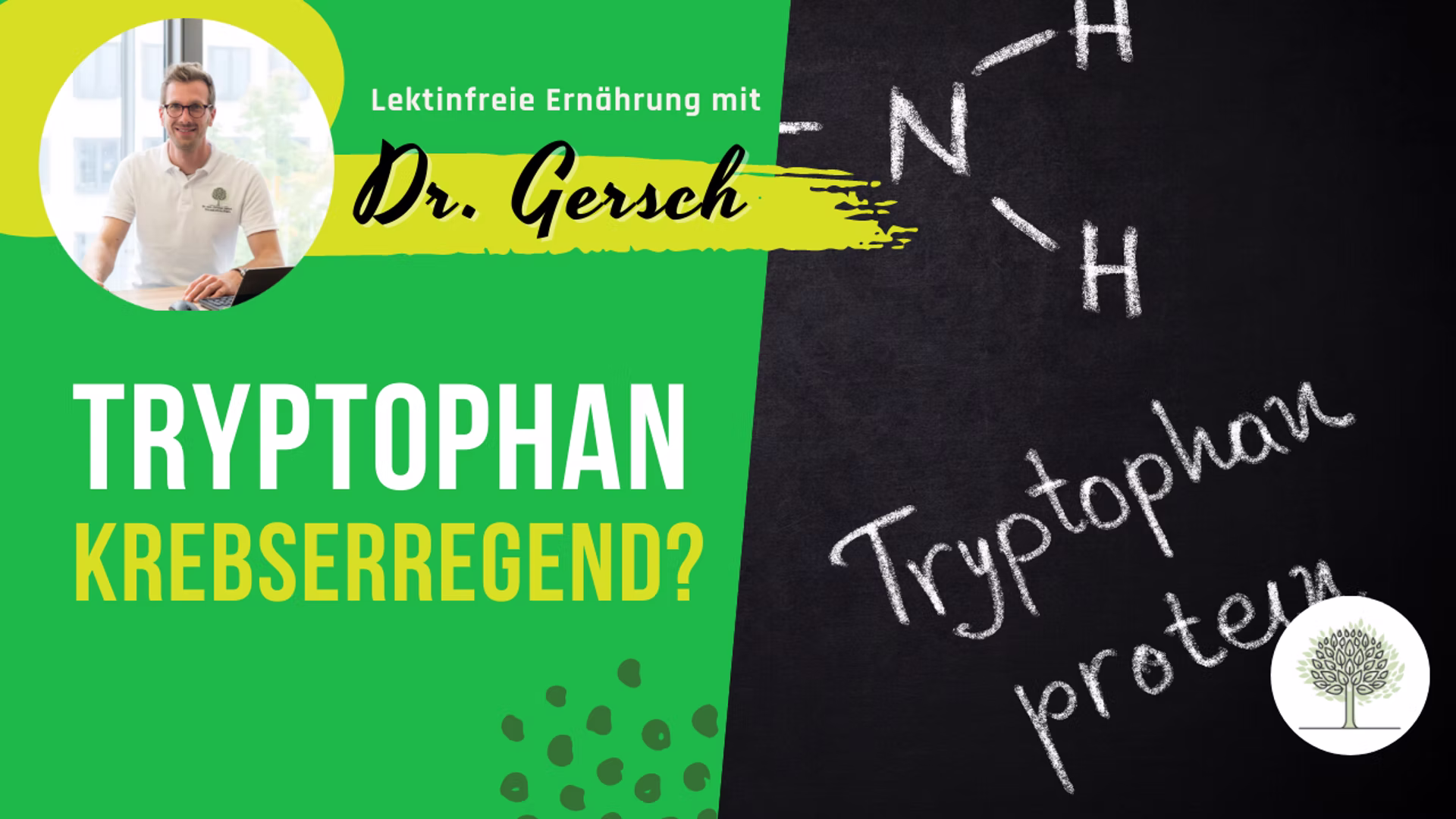 Wie ein Zuviel der Aminosäure Tryptophan zu Alter und Krankheit beiträgt