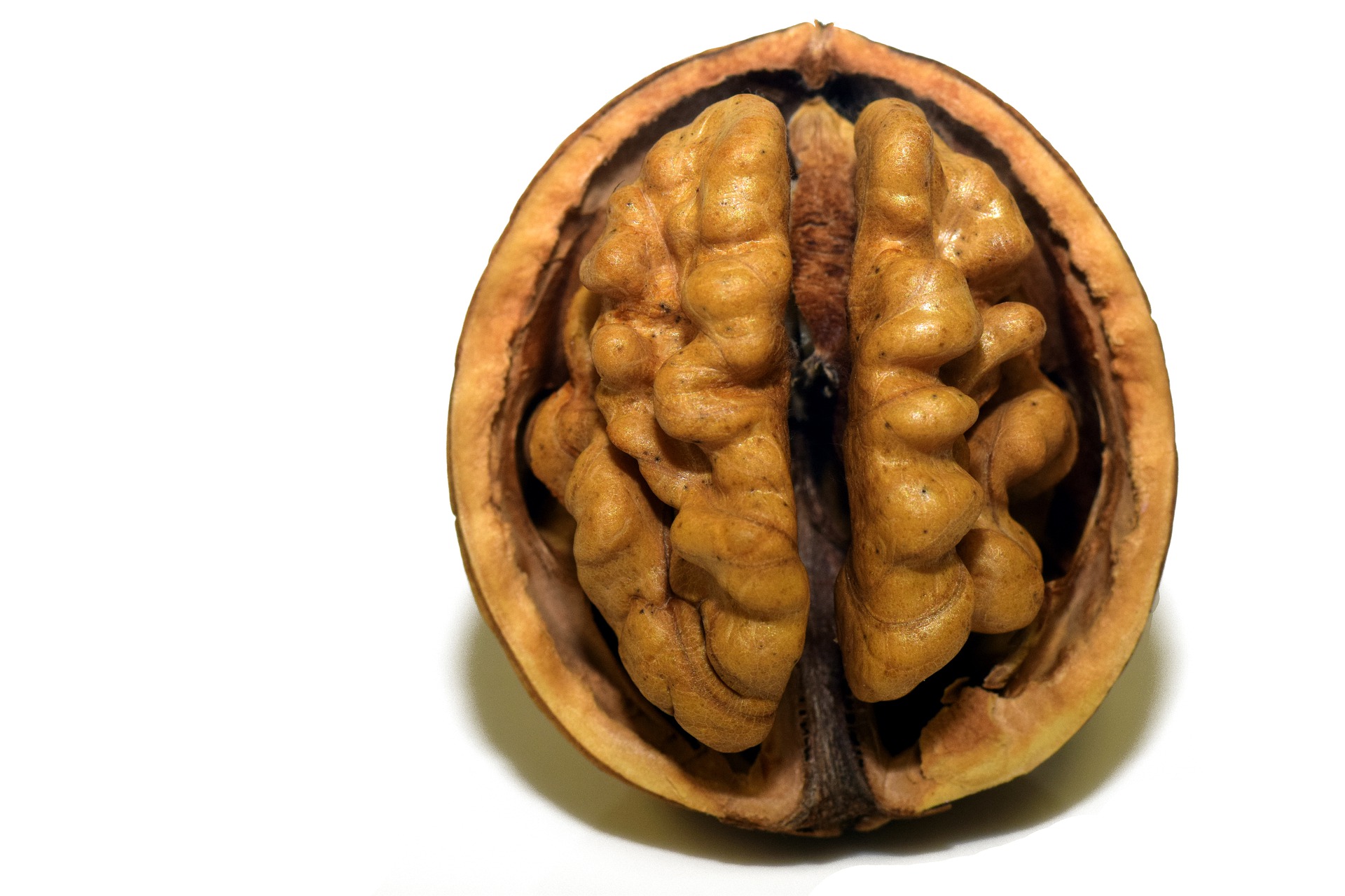 Leptin - das Appetitzüglerhormon, das Übergewichtigen leider nicht mehr hilft