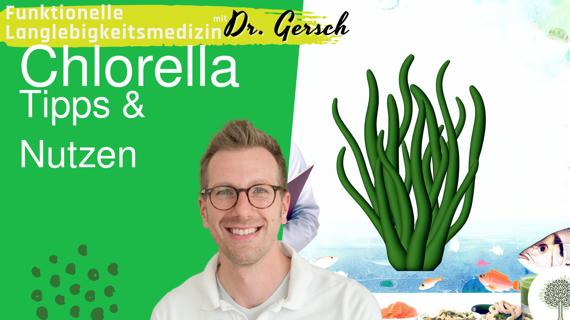 Tägliche Einnahme von Chlorella?