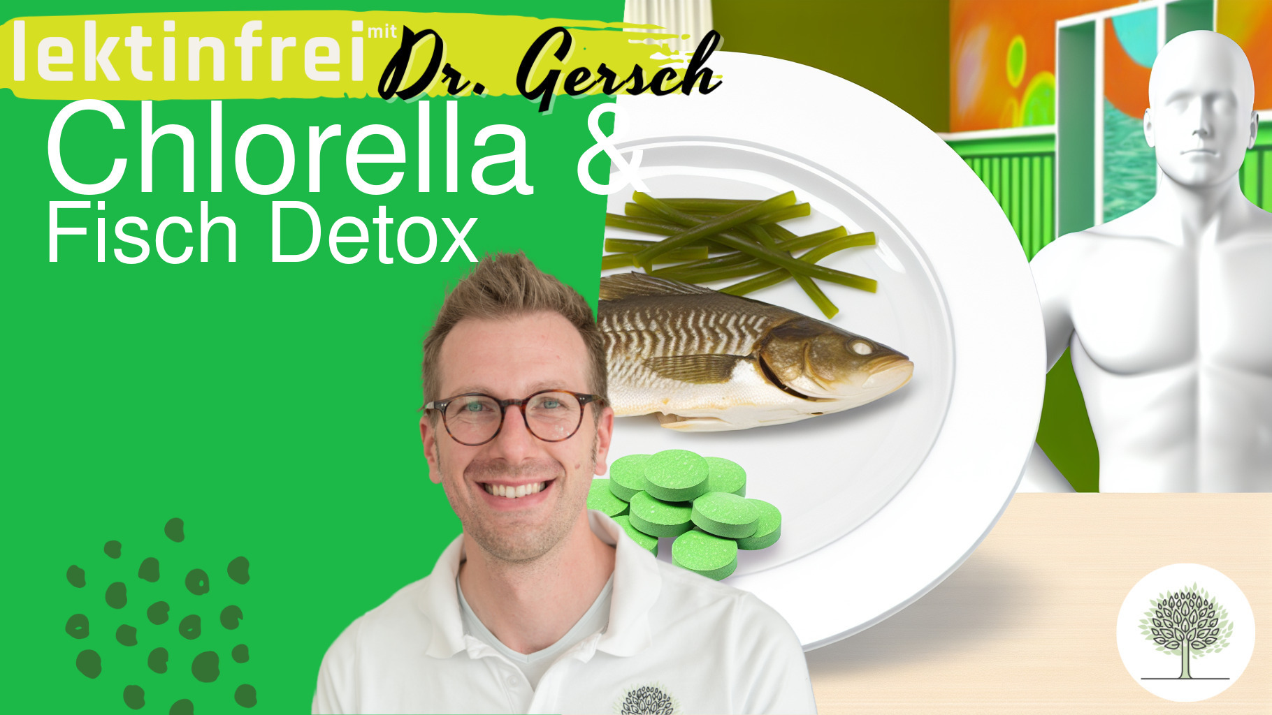 Chlorella zu Fisch essen, um Schwermetalle zu binden: Welche Dosis ist notwendig? Und warum Bio-Chlorella keine gute Wahl dafür sein kann! 