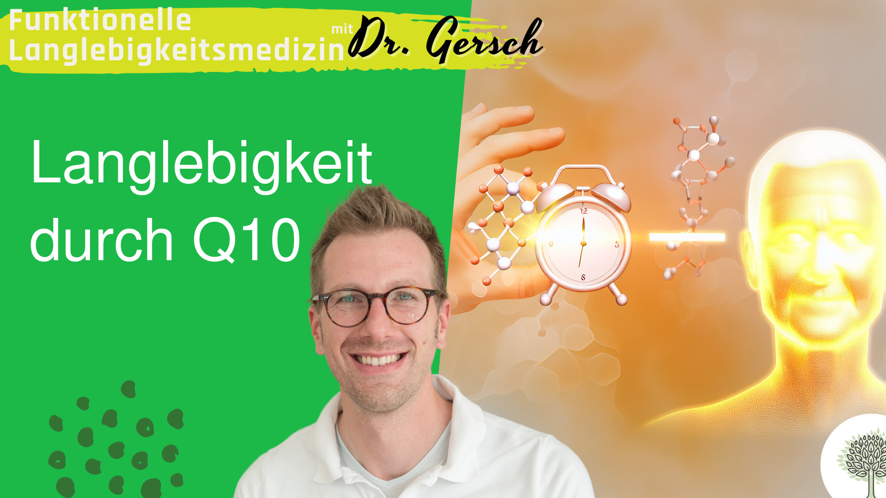 Coenzym Q10 für Langlebigkeit supplementieren macht das Sinn? 