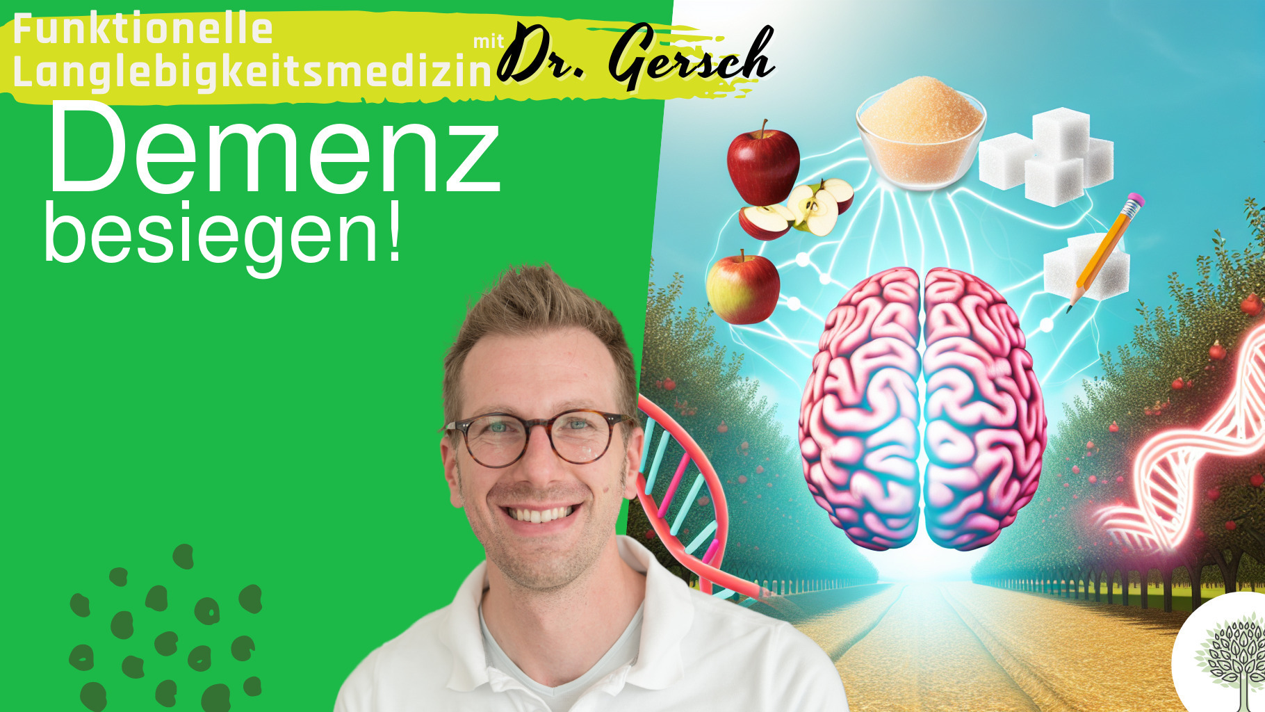 Demenz, Fruktose, Cholesterin, Apo E4 