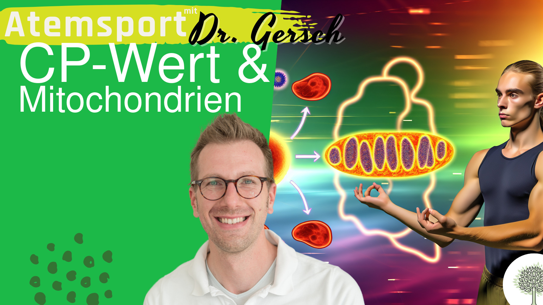 Gibt es einen CP-Wert, bei dem man sagen kann, dass die Mitochondrienbiogenese ordentlich greift? 