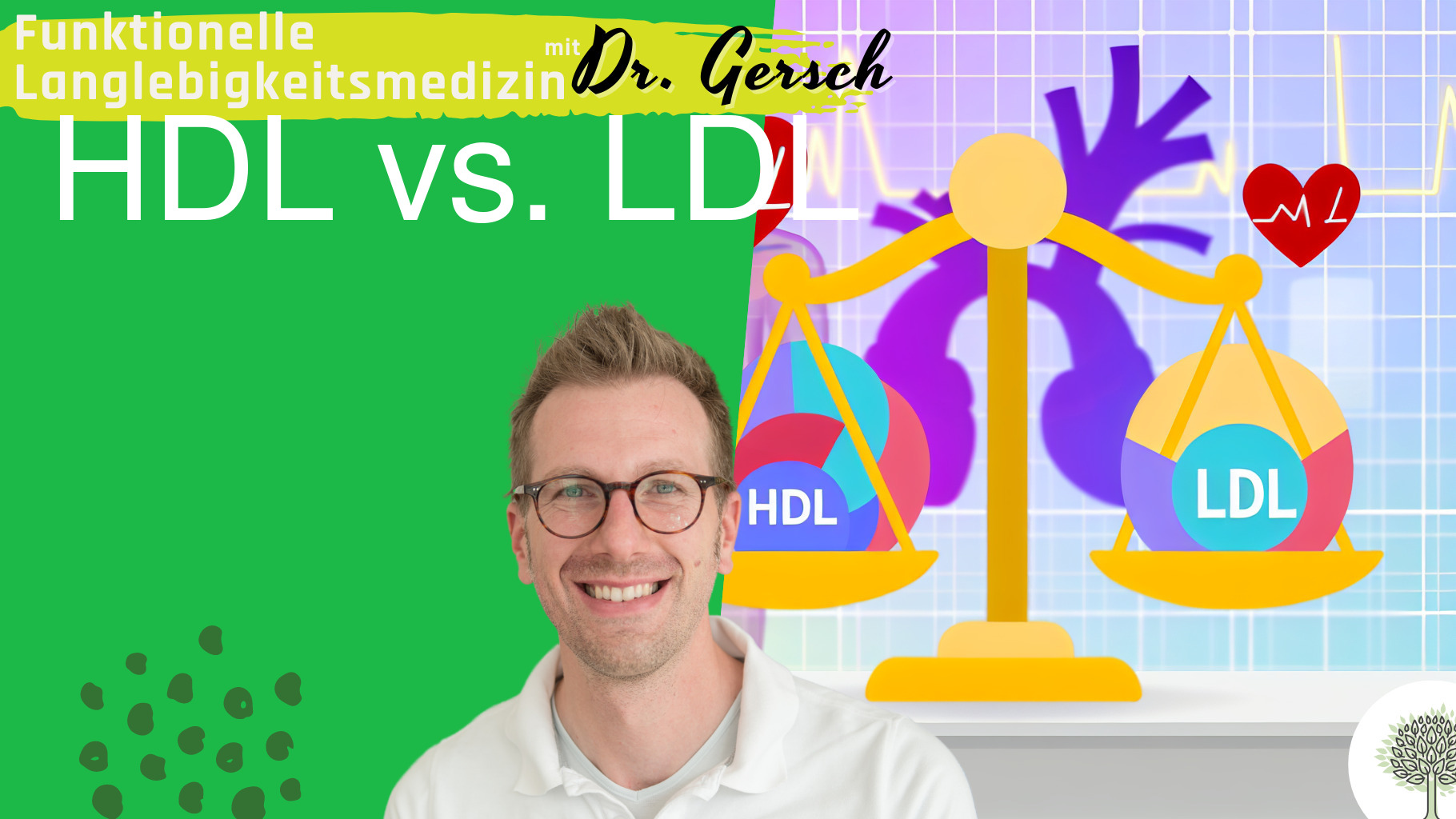 Was ist das richtige Verhältnis von HDL- und LDL-Werten? 