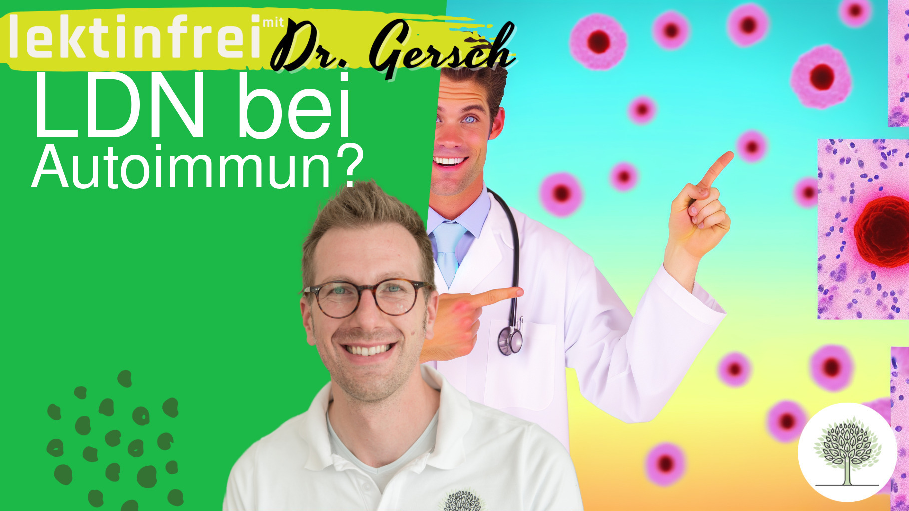 Kann LDN bei Autoimmunität helfen? 