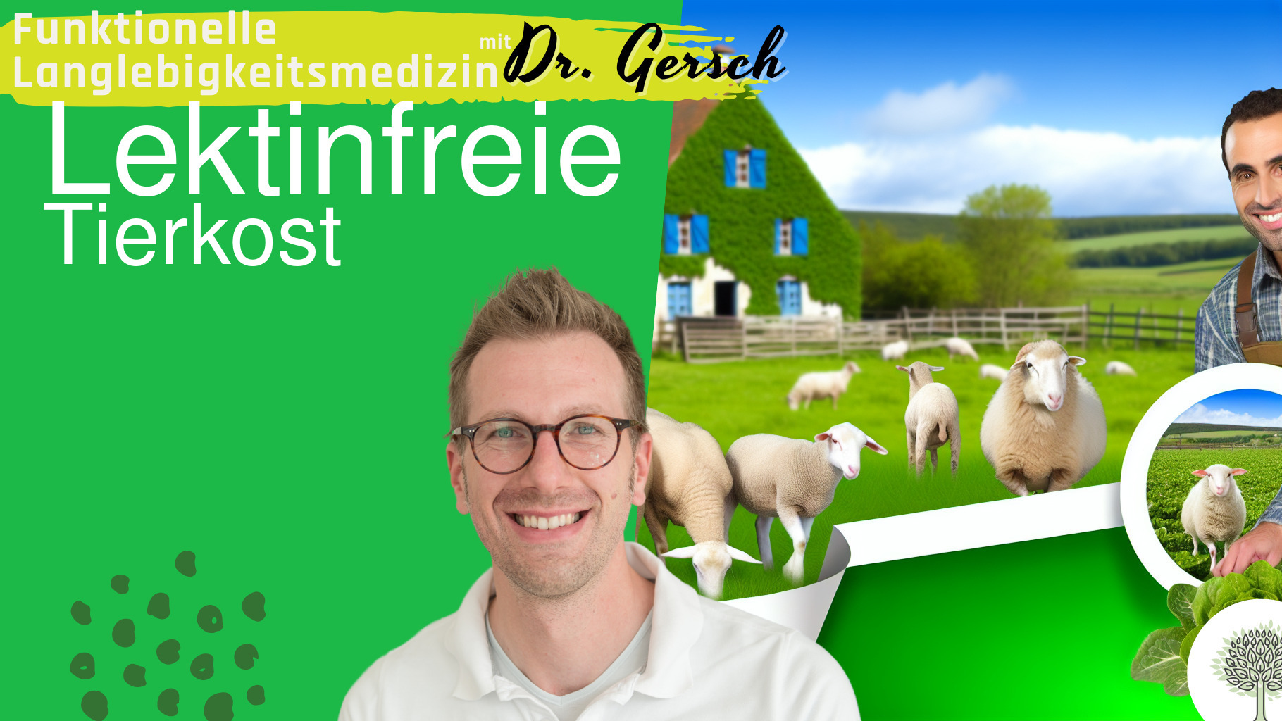 Ist lektinfrei bei tierischen Produkten zu 100% schwer umsetzbar?