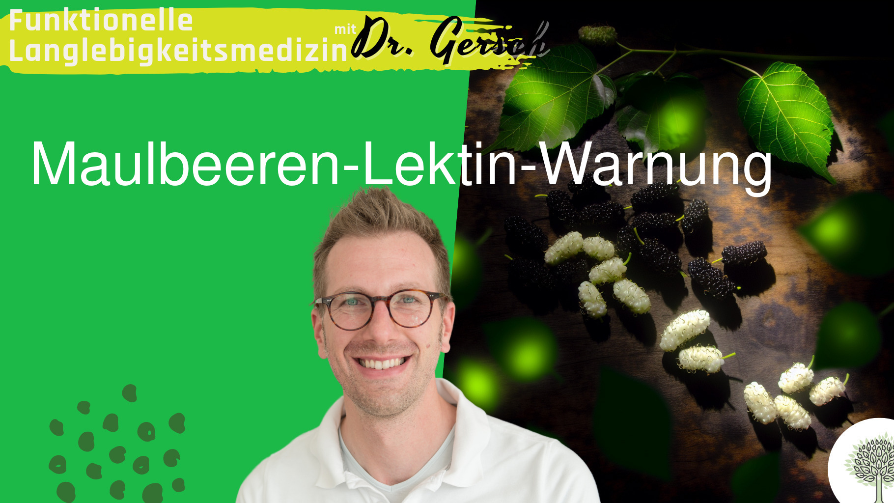 Maulbeeren im Fokus