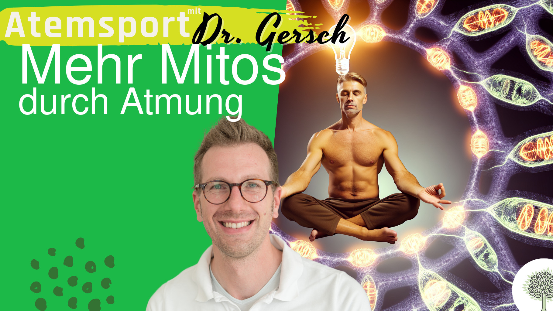 Mehr Mitochondrien durch Fasten geht nicht ohne gute Atmung. 