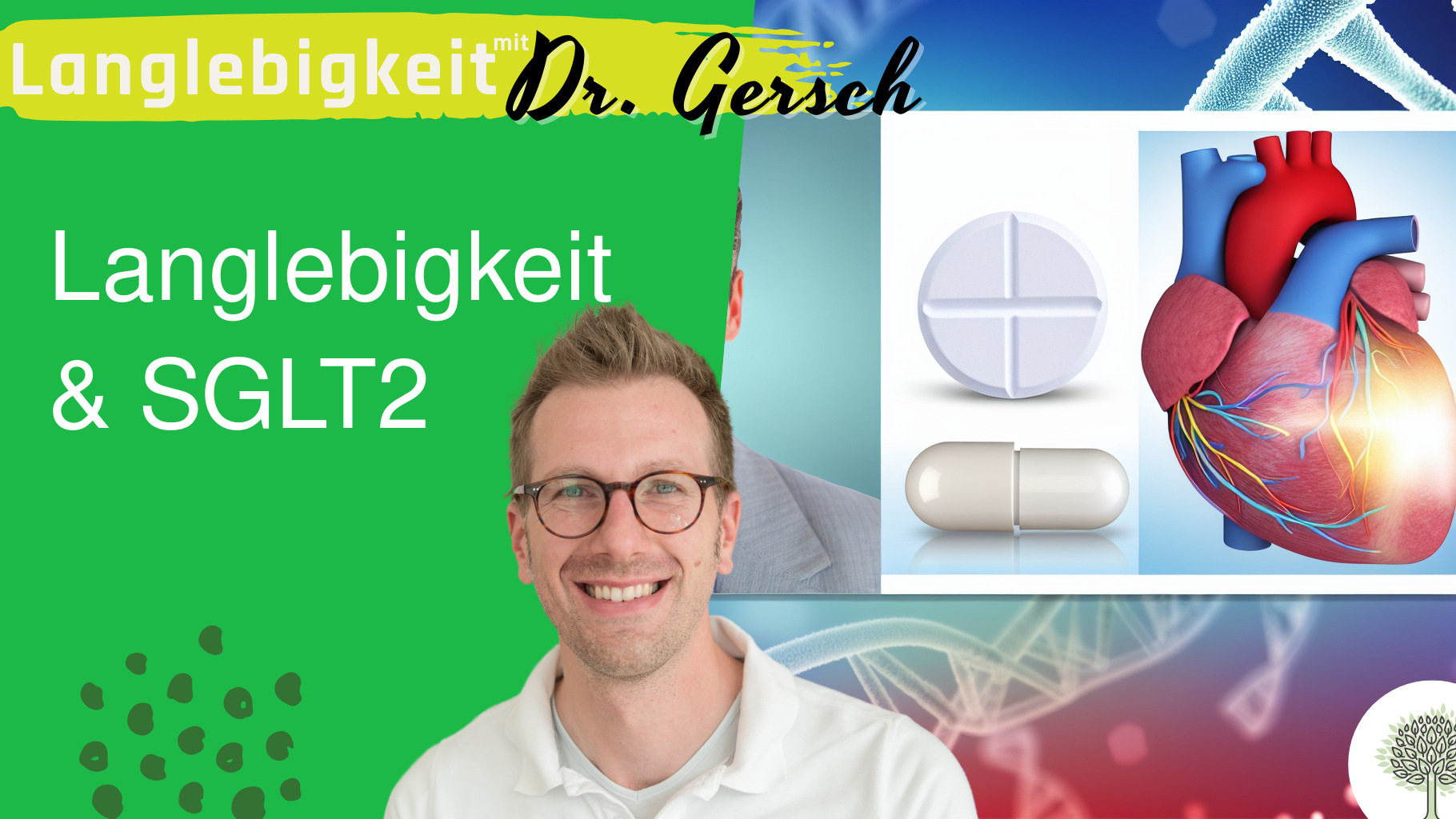 SGLT2-Inhibitoren und ihr Langlebigkeitspotential 